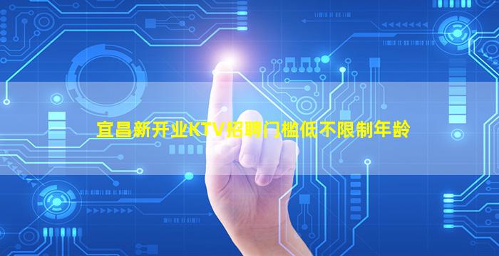 宜昌新开业KTV招聘门槛低不限制年龄